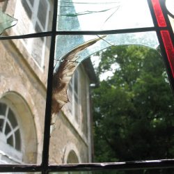 - Atelier de la Licorne à Ardin - Vitraux d'art Magali Bauchy, Meilleur Ouvrier de France - Création et restauration de vitraux d'art